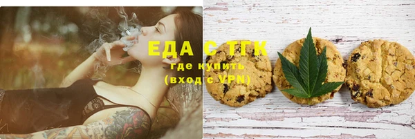 дживик Няндома