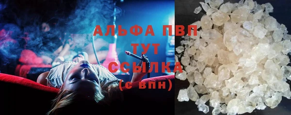 дживик Няндома