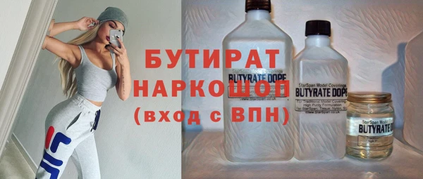 дживик Няндома