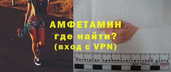 дживик Няндома