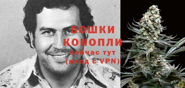 дживик Няндома