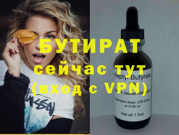 дживик Няндома