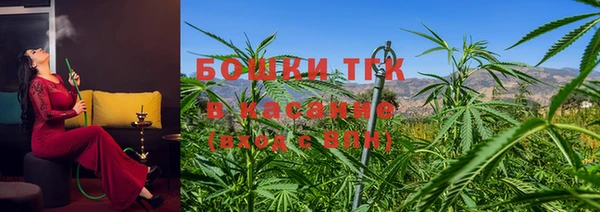 дживик Няндома