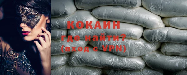 дживик Няндома