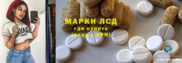 дживик Няндома