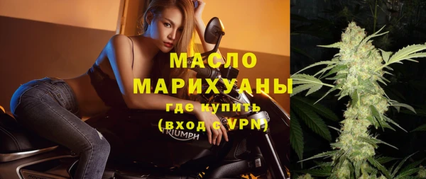 дживик Няндома